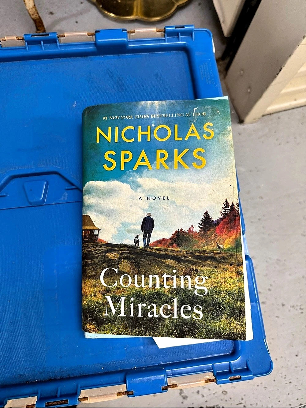 St. Martin's Press Counting Miracles Hardcover Novel Blue Like New